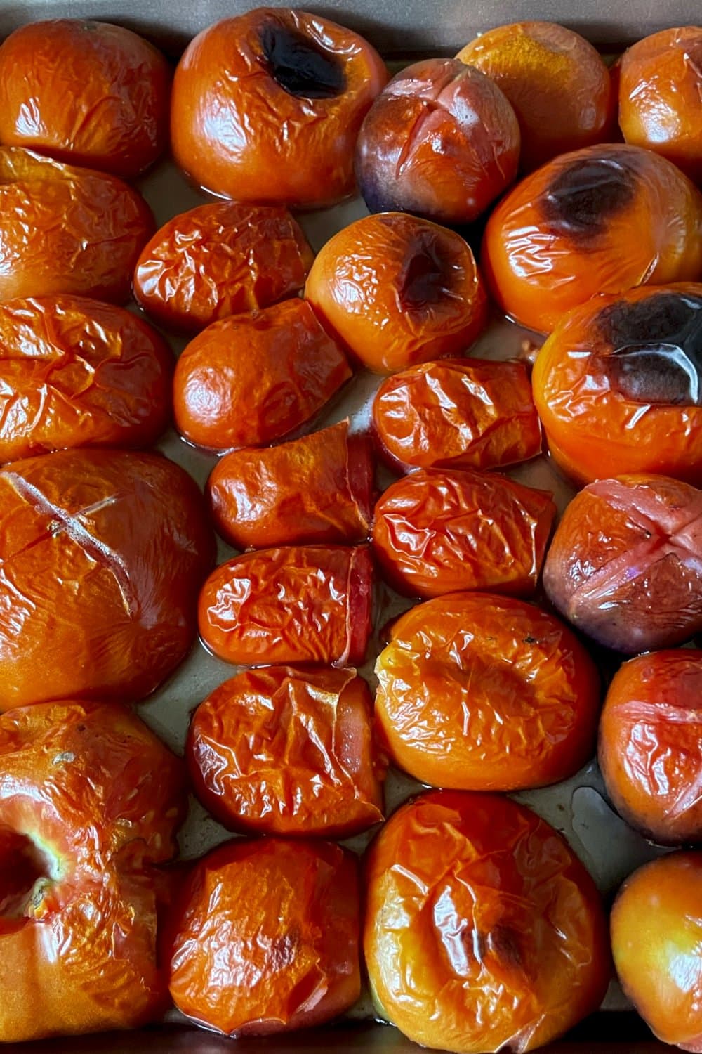 roasted tomatoes